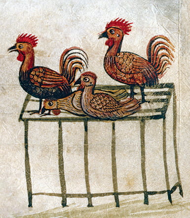 medieval drawing of three chickens on top of a chicken coop