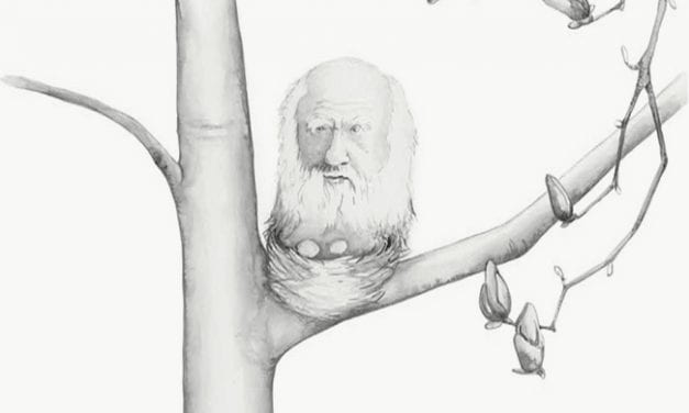 Darwin and God: Then and Now