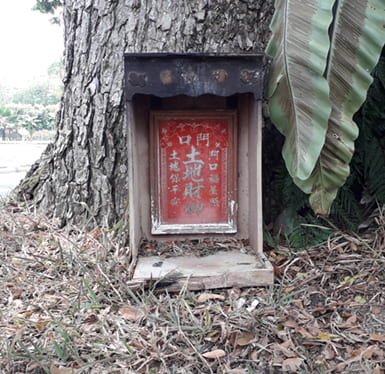 Photo of a small, empty altar at the base of a tree
