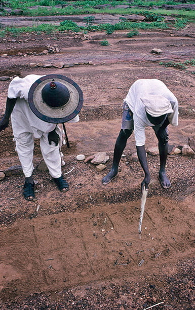 Two men examining animal tracks in the dirt