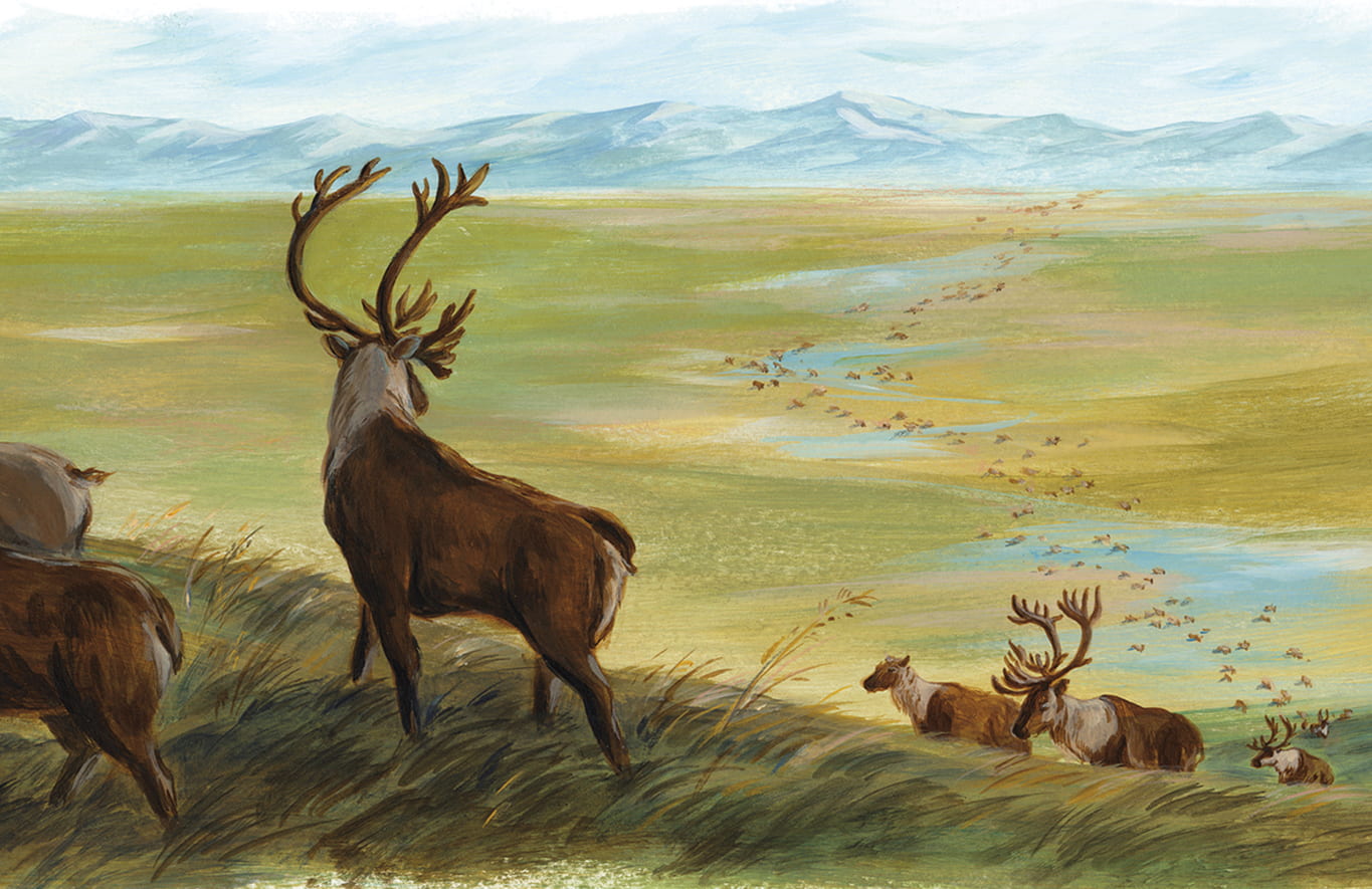 Illustration of migrating caribou herd