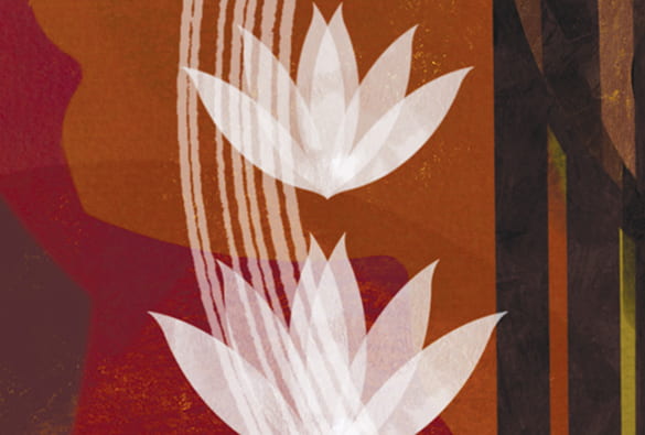 Illustration of two lotus flowers