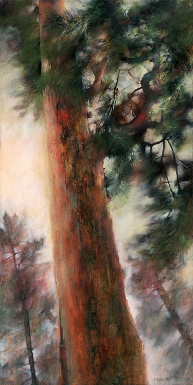 Painting of view looking up a tall pine tree with light shining through its branches