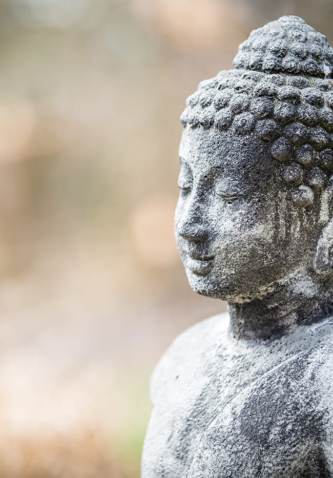 Stone Buddha figure with blurry background