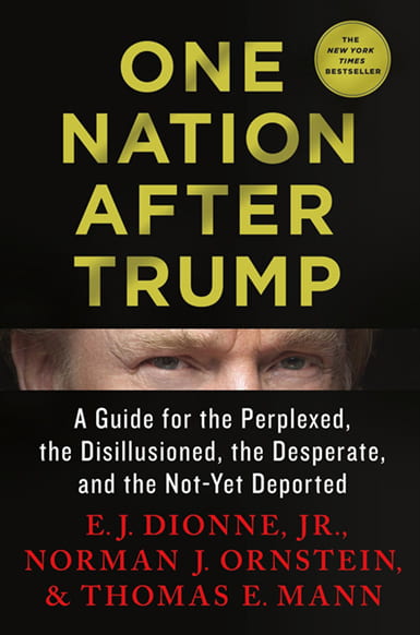 Book cover for One Nation After Trump
