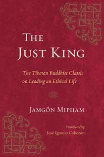 Book cover of The Just King