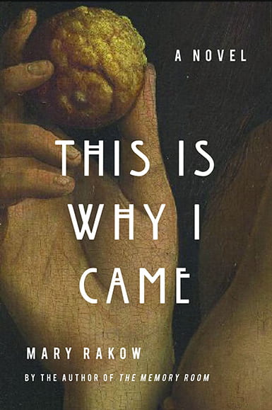 Book cover for This is Why I Came