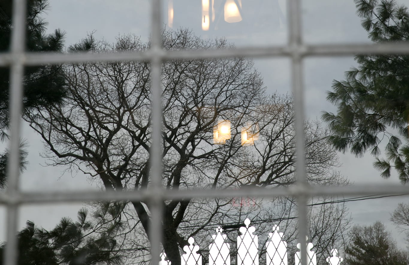 Photo of tree branches reflecting on a wondow with lights and another entrance shining through the window panes