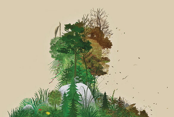 Image of a head created by a landscape, with one side dying with leaves floating away