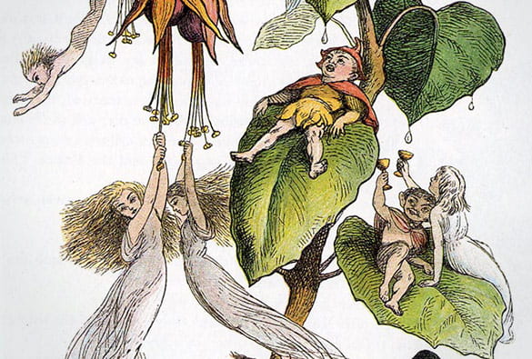 Richard Doyle illustrations of fairies "Feasting Among Fuschias"