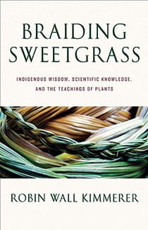 Braiding Sweet Grass book cover