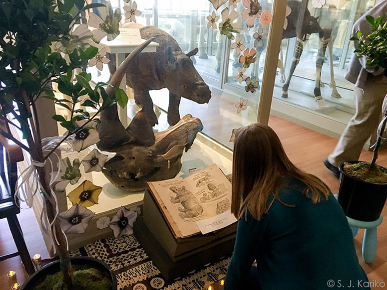Woman squatting in front of a museum exhibit of a rhino and a book with an engraving of a rhino 