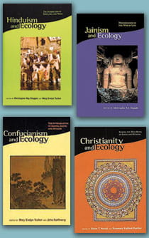 Collage of four book covers from the series