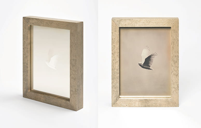 Two photos of a framed image of an owl. When seen straight on the image is clear, from an angle it is a ghostly image