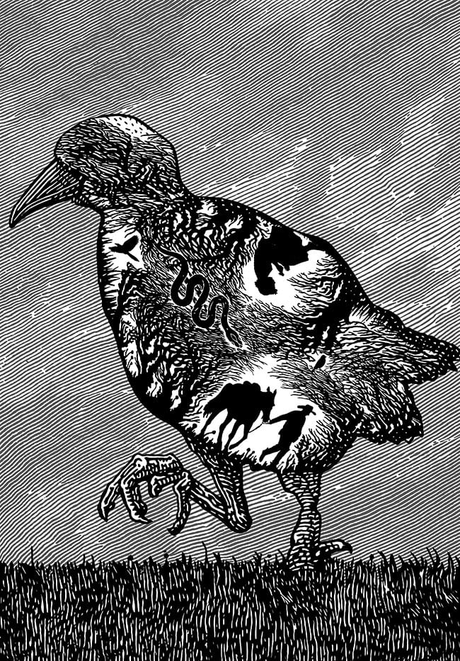 Illustration of a tikling bird. Inside the bird are figures representing the author's great grandfather and Tess of the d’Urbervilles.