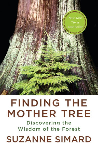 Finding the Mother Tree book cover